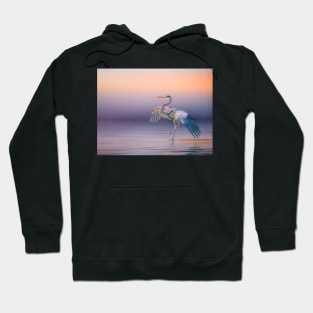 Sunset Heron Hoodie